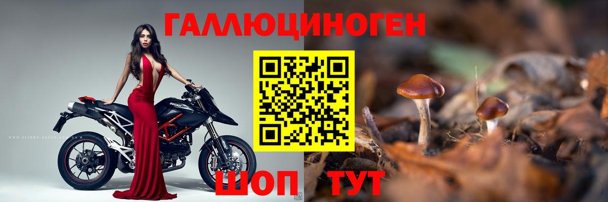 Галлюциногенные грибы Cubensis Назрань